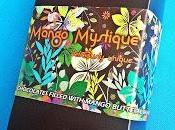 REVIEW! Mango Mystique Spring Special Edition