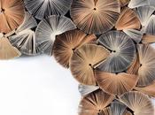 Design Indaba Expo 2013