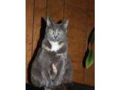 MICRO-FICTION: Julia Doesn’t Know Lucky