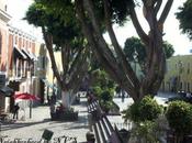 Weekly Photo: Neighborhood