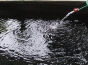 After Three Days, Almost Years