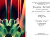 Diverse Elements Show with Sunny Leif Podhajsky