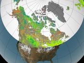 Northern Latitudes Become Greener with Global Warming