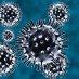 Health Alert: Novel Coronavirus