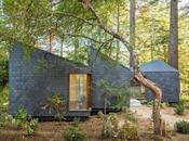 Week Review: Great Reads Have Missed