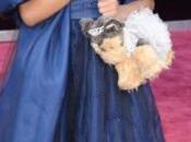 Spotlight Forevermark