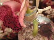 Living Life Spiritual Person