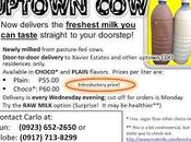 UPTOWN Delivers Best Quality Fresh Milk Uptown Residents