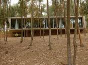 Omnibus House Gubbins Arquitectos