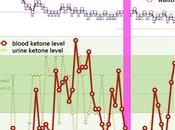 Final Report: Months Strict LCHF Ketone Monitoring