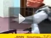 Most Funniest Video Dummy Maulana Fazlur Rehman Banana News