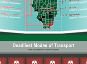 Illinois Counties Auto Accident Fatalities