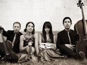 Concert Review: Allegations Alligators