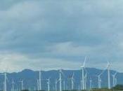 Wind Power Sham