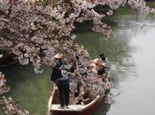 柳川，ドンコ舟に揺られて Yanagawa,the City Water