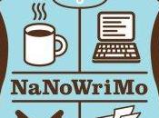 Writing First Book! -NaNoWriMo-
