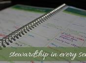 Stewardship Every Sense: Part One.