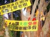 Taiwan Activists Praise “Tree-Top”