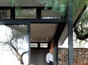 Mies Rohe-Inspired Cottage Johannesburg