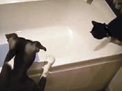 VIDEO: Witness This Pushing into Bathtub!