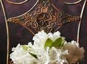 Book Review: Never Mistress Longer Maid Maureen Driscoll