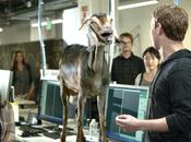 Funny Facebook Home Video