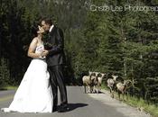 Just Married Canadian Rockies