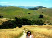Wandering Sunny California Hills Rhinestones
