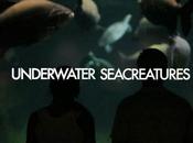 Underwater Seacreatures