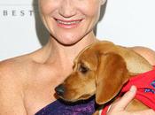 True Blood Stars Support Amanda Foundation Patterns Paws