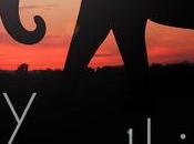 Book Review: Everything Heidi McLaughlin