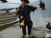 Dying Cormorant Fishing