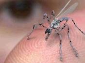 Frightening: Insect Drones