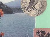 "Lift Your Eyes Sky"