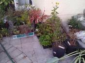 Overwintering