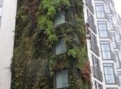 Patrick Blanc's Vertical Gardens, London