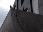 113/365 Holyrood Squab