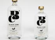 Black Cow: Vodka Made from Milk?