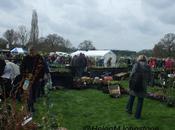 Spetchley Plant Fair