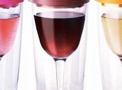 Vino2Go: Perfect Summer Accessory