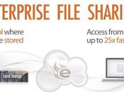 Egnyte: Third Party Cloud Storage Offers File Sharing Option