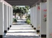 Channeled Work/Intuitive Gifts