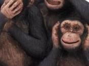 Discernment Lesson: Inaction