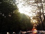 Another Sunset. Cobble Hill Park)
