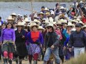Arizona Peru: Reform Won’t Work