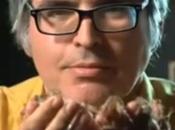 Welcome Jungle: Eats 5,000 Species Bugs