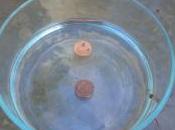 Lesson Pennies Water