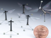 Harvard Develops Tiny Robotic Insect