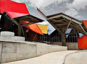 Photographer Jill Paider Gehry's Biomuseo