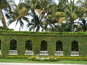 Patterns: Showcasing Favorite Scenery Photo